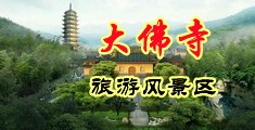 网站.www.草逼.com.中国浙江-新昌大佛寺旅游风景区